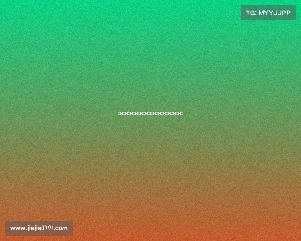 再赴进博盛会携手共创开放合作新格局共享全球发展新机遇